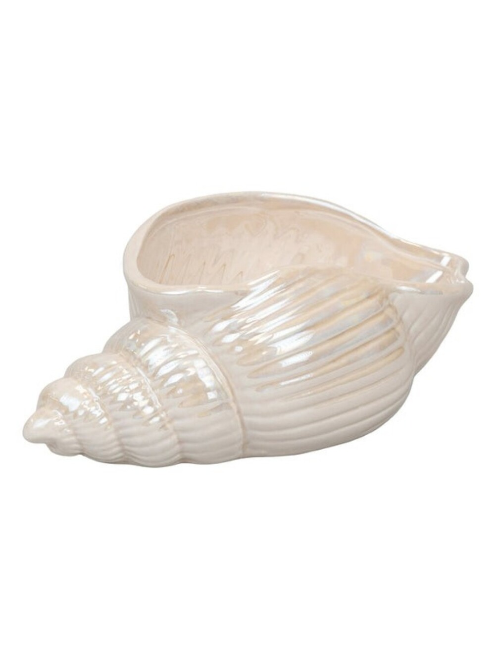 DW Home See Blossom Iridescent Cream Shell Ceramic Vessel Candle